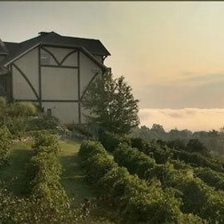 Hermann Hill (Adults Only)-2